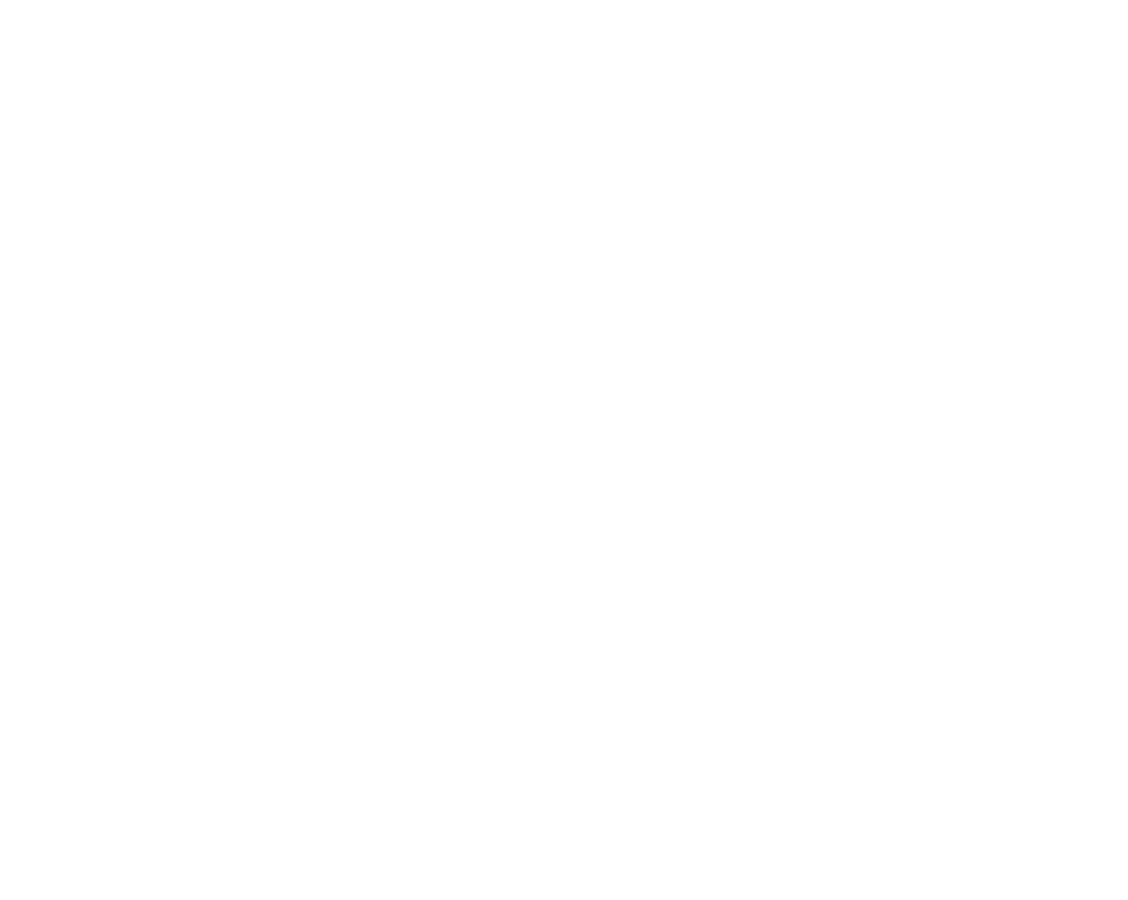 White Liberty Process logo with a transparent background